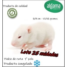  Lote 25 unidades Pinky de rata (primer pelo) Alimento congelado